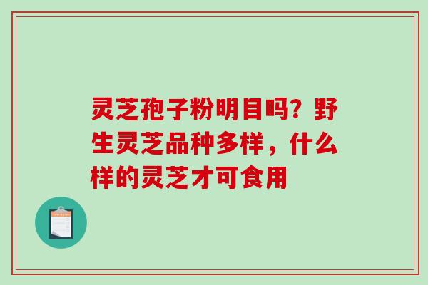 灵芝孢子粉明目吗?野生灵芝品种多样,什么样的灵芝才可食用-第1张图片-破壁灵芝孢子粉研究指南 灵芝孢子粉明目吗?野生灵芝品种多样,什么样的灵芝才可食用-第1张图片-破壁灵芝孢子粉研究指南