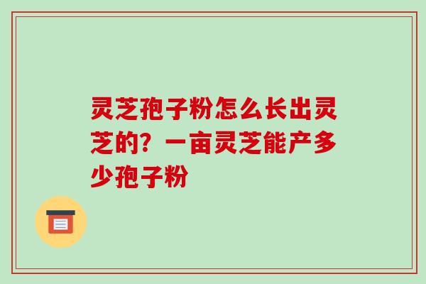 灵芝孢子粉怎么长出灵芝的？一亩灵芝能产多少孢子粉-第1张图片-破壁灵芝孢子粉研究指南