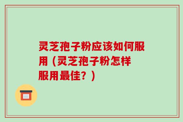 灵芝孢子粉应该如何服用 (灵芝孢子粉怎样服用最佳?)-第1张图片-破壁灵芝孢子粉研究指南 灵芝孢子粉应该如何服用 (灵芝孢子粉怎样服用最佳?)-第1张图片-破壁灵芝孢子粉研究指南