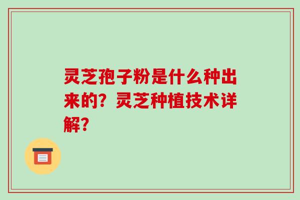 灵芝孢子粉是什么种出来的?灵芝种植技术详解?-第1张图片-破壁灵芝孢子粉研究指南 灵芝孢子粉是什么种出来的?灵芝种植技术详解?-第1张图片-破壁灵芝孢子粉研究指南