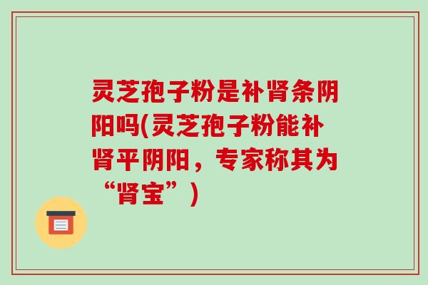 灵芝孢子粉是补肾条阴阳吗(灵芝孢子粉能补肾平阴阳,专家称其为“肾宝”)-第1张图片-破壁灵芝孢子粉研究指南 灵芝孢子粉是补肾条阴阳吗(灵芝孢子粉能补肾平阴阳,专家称其为“肾宝”)-第1张图片-破壁灵芝孢子粉研究指南