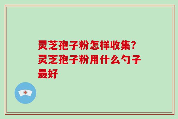 灵芝孢子粉怎样收集?灵芝孢子粉用什么勺子最好-第1张图片-破壁灵芝孢子粉研究指南 灵芝孢子粉怎样收集?灵芝孢子粉用什么勺子最好-第1张图片-破壁灵芝孢子粉研究指南