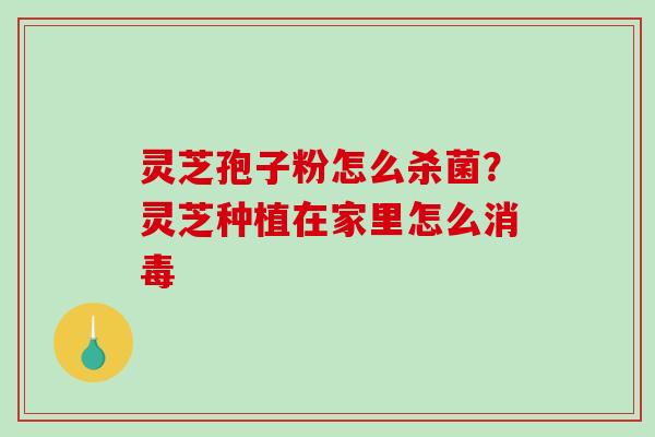 灵芝孢子粉怎么杀菌?灵芝种植在家里怎么消毒-第1张图片-破壁灵芝孢子粉研究指南 灵芝孢子粉怎么杀菌?灵芝种植在家里怎么消毒-第1张图片-破壁灵芝孢子粉研究指南