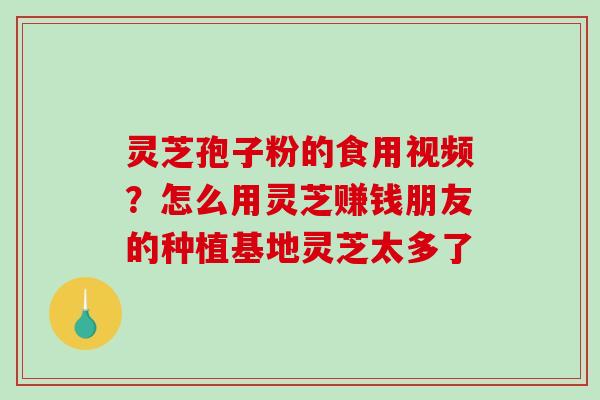 灵芝孢子粉的食用视频?怎么用灵芝赚钱朋友的种植基地灵芝太多了-第1张图片-破壁灵芝孢子粉研究指南 灵芝孢子粉的食用视频?怎么用灵芝赚钱朋友的种植基地灵芝太多了-第1张图片-破壁灵芝孢子粉研究指南