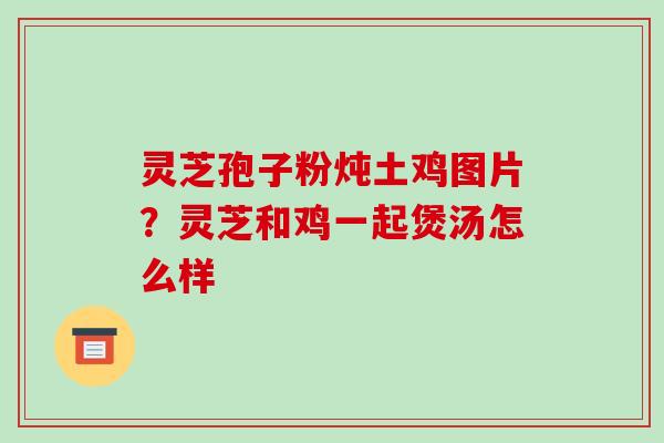 灵芝孢子粉炖土鸡图片？灵芝和鸡一起煲汤怎么样-第1张图片-破壁灵芝孢子粉研究指南