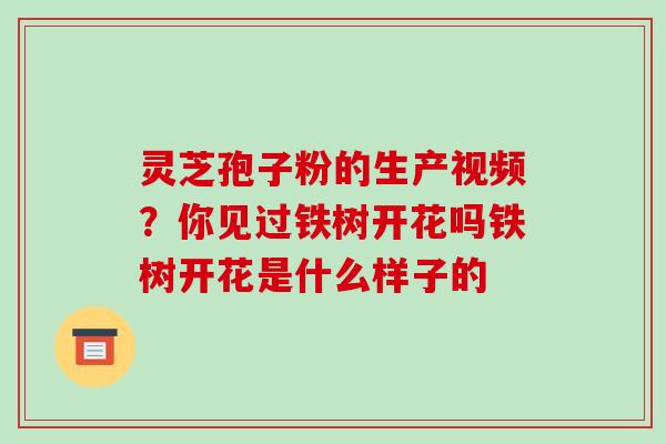 灵芝孢子粉的生产视频？你见过铁树开花吗铁树开花是什么样子的-第1张图片-破壁灵芝孢子粉研究指南