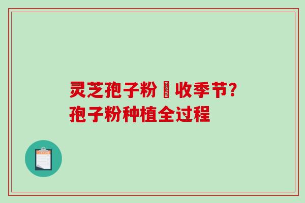 灵芝孢子粉釆收季节?孢子粉种植全过程-第1张图片-破壁灵芝孢子粉研究指南 灵芝孢子粉釆收季节?孢子粉种植全过程-第1张图片-破壁灵芝孢子粉研究指南