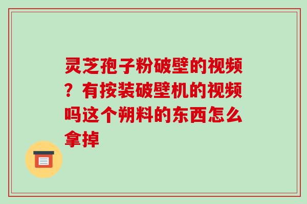 灵芝孢子粉破壁的视频?有按装破壁机的视频吗这个朔料的东西怎么拿掉-第1张图片-破壁灵芝孢子粉研究指南 灵芝孢子粉破壁的视频?有按装破壁机的视频吗这个朔料的东西怎么拿掉-第1张图片-破壁灵芝孢子粉研究指南