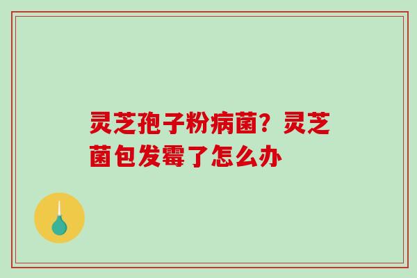 灵芝孢子粉病菌?灵芝菌包发霉了怎么办-第1张图片-破壁灵芝孢子粉研究指南 灵芝孢子粉病菌?灵芝菌包发霉了怎么办-第1张图片-破壁灵芝孢子粉研究指南