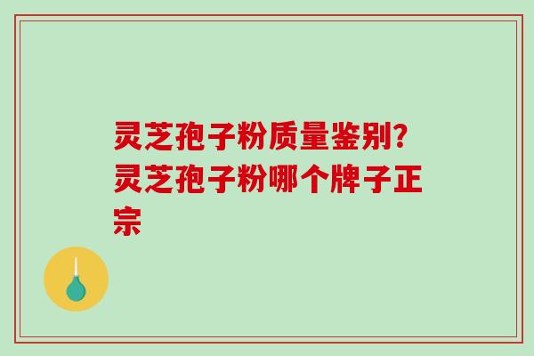 灵芝孢子粉质量鉴别？灵芝孢子粉哪个牌子正宗-第1张图片-破壁灵芝孢子粉研究指南