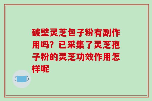 破壁灵芝包子粉有副作用吗?已采集了灵芝孢子粉的灵芝功效作用怎样呢-第1张图片-破壁灵芝孢子粉研究指南 破壁灵芝包子粉有副作用吗?已采集了灵芝孢子粉的灵芝功效作用怎样呢-第1张图片-破壁灵芝孢子粉研究指南
