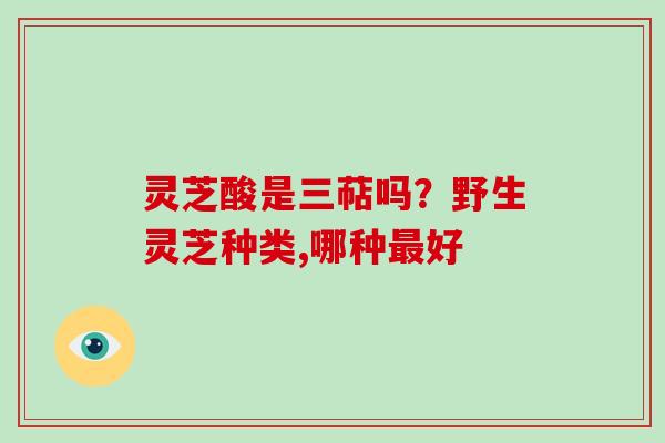 灵芝酸是三萜吗？野生灵芝种类,哪种最好-第1张图片-破壁灵芝孢子粉研究指南