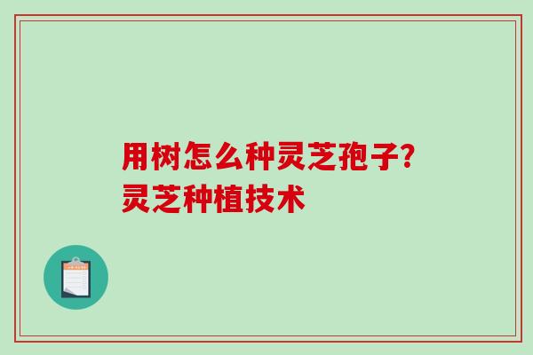 用树怎么种灵芝孢子？灵芝种植技术-第1张图片-破壁灵芝孢子粉研究指南