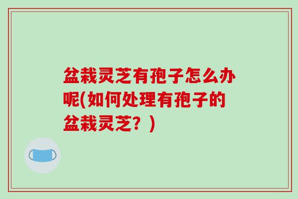 盆栽灵芝有孢子怎么办呢(如何处理有孢子的盆栽灵芝?)-第1张图片-破壁灵芝孢子粉研究指南 盆栽灵芝有孢子怎么办呢(如何处理有孢子的盆栽灵芝?)-第1张图片-破壁灵芝孢子粉研究指南