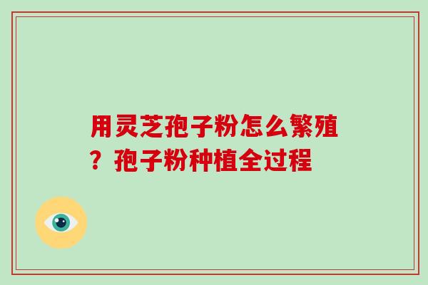用灵芝孢子粉怎么繁殖?孢子粉种植全过程-第1张图片-破壁灵芝孢子粉研究指南 用灵芝孢子粉怎么繁殖?孢子粉种植全过程-第1张图片-破壁灵芝孢子粉研究指南