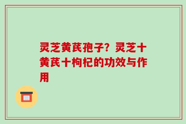 灵芝黄芪孢子?灵芝十黄芪十枸杞的功效与作用-第1张图片-破壁灵芝孢子粉研究指南 灵芝黄芪孢子?灵芝十黄芪十枸杞的功效与作用-第1张图片-破壁灵芝孢子粉研究指南