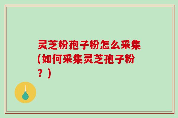 灵芝粉孢子粉怎么采集(如何采集灵芝孢子粉？)-第1张图片-破壁灵芝孢子粉研究指南