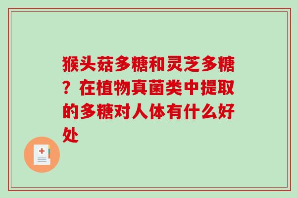 猴头菇多糖和灵芝多糖?在植物真菌类中提取的多糖对人体有什么好处-第1张图片-破壁灵芝孢子粉研究指南 猴头菇多糖和灵芝多糖?在植物真菌类中提取的多糖对人体有什么好处-第1张图片-破壁灵芝孢子粉研究指南