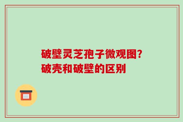 破壁灵芝孢子微观图?破壳和破壁的区别-第1张图片-破壁灵芝孢子粉研究指南 破壁灵芝孢子微观图?破壳和破壁的区别-第1张图片-破壁灵芝孢子粉研究指南