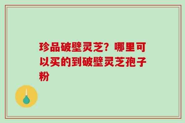 珍品破壁灵芝?哪里可以买的到破壁灵芝孢子粉-第1张图片-破壁灵芝孢子粉研究指南 珍品破壁灵芝?哪里可以买的到破壁灵芝孢子粉-第1张图片-破壁灵芝孢子粉研究指南