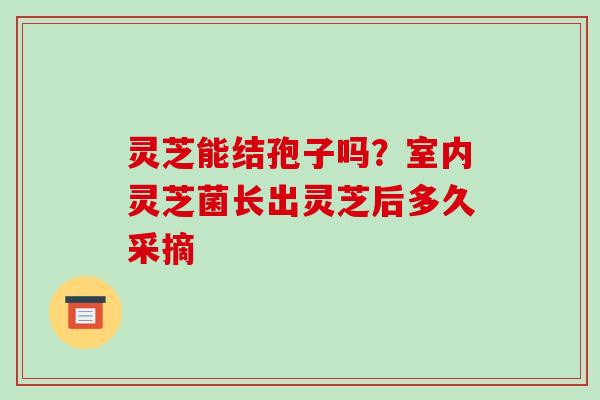 灵芝能结孢子吗?室内灵芝菌长出灵芝后多久采摘-第1张图片-破壁灵芝孢子粉研究指南 灵芝能结孢子吗?室内灵芝菌长出灵芝后多久采摘-第1张图片-破壁灵芝孢子粉研究指南