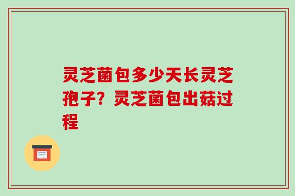 灵芝菌包多少天长灵芝孢子？灵芝菌包出菇过程-第1张图片-破壁灵芝孢子粉研究指南