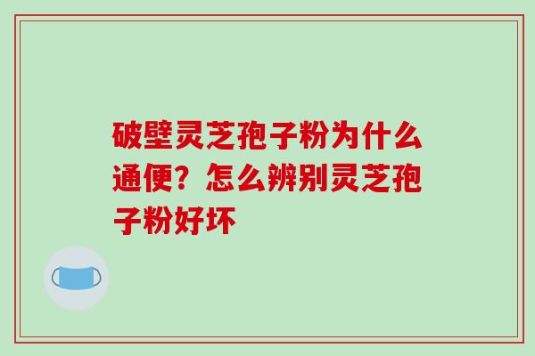 破壁灵芝孢子粉为什么通便?怎么辨别灵芝孢子粉好坏-第1张图片-破壁灵芝孢子粉研究指南 破壁灵芝孢子粉为什么通便?怎么辨别灵芝孢子粉好坏-第1张图片-破壁灵芝孢子粉研究指南
