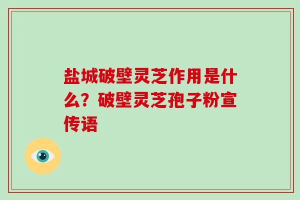 盐城破壁灵芝作用是什么?破壁灵芝孢子粉宣传语-第1张图片-破壁灵芝孢子粉研究指南 盐城破壁灵芝作用是什么?破壁灵芝孢子粉宣传语-第1张图片-破壁灵芝孢子粉研究指南