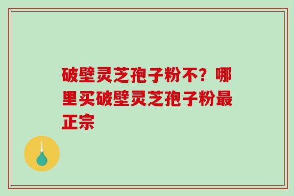 破壁灵芝孢子粉不?哪里买破壁灵芝孢子粉最正宗-第1张图片-破壁灵芝孢子粉研究指南 破壁灵芝孢子粉不?哪里买破壁灵芝孢子粉最正宗-第1张图片-破壁灵芝孢子粉研究指南