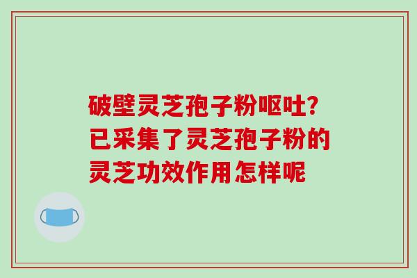 破壁灵芝孢子粉呕吐?已采集了灵芝孢子粉的灵芝功效作用怎样呢-第1张图片-破壁灵芝孢子粉研究指南 破壁灵芝孢子粉呕吐?已采集了灵芝孢子粉的灵芝功效作用怎样呢-第1张图片-破壁灵芝孢子粉研究指南