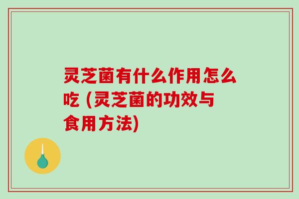 灵芝菌有什么作用怎么吃 (灵芝菌的功效与食用方法)-第1张图片-破壁灵芝孢子粉研究指南 灵芝菌有什么作用怎么吃 (灵芝菌的功效与食用方法)-第1张图片-破壁灵芝孢子粉研究指南