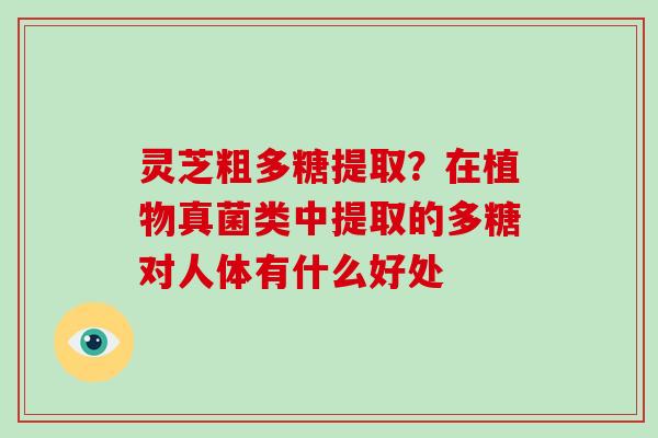 灵芝粗多糖提取？在植物真菌类中提取的多糖对人体有什么好处-第1张图片-破壁灵芝孢子粉研究指南
