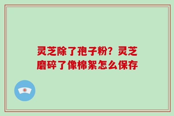 灵芝除了孢子粉?灵芝磨碎了像棉絮怎么保存-第1张图片-破壁灵芝孢子粉研究指南 灵芝除了孢子粉?灵芝磨碎了像棉絮怎么保存-第1张图片-破壁灵芝孢子粉研究指南