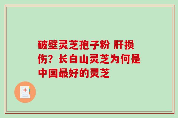 破壁灵芝孢子粉 肝损伤？长白山灵芝为何是中国最好的灵芝-第1张图片-破壁灵芝孢子粉研究指南