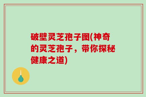 破壁灵芝孢子图(神奇的灵芝孢子,带你探秘健康之道)-第1张图片-破壁灵芝孢子粉研究指南 破壁灵芝孢子图(神奇的灵芝孢子,带你探秘健康之道)-第1张图片-破壁灵芝孢子粉研究指南