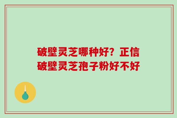 破壁灵芝哪种好?正信破壁灵芝孢子粉好不好-第1张图片-破壁灵芝孢子粉研究指南 破壁灵芝哪种好?正信破壁灵芝孢子粉好不好-第1张图片-破壁灵芝孢子粉研究指南