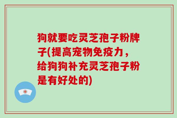 狗就要吃灵芝孢子粉牌子(提高宠物免疫力，给狗狗补充灵芝孢子粉是有好处的)-第1张图片-破壁灵芝孢子粉研究指南