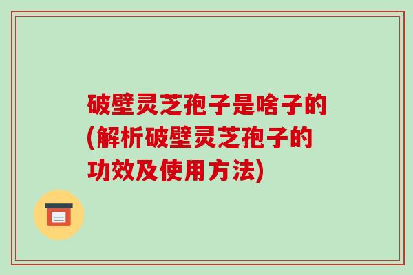 破壁灵芝孢子是啥子的(解析破壁灵芝孢子的功效及使用方法)-第1张图片-破壁灵芝孢子粉研究指南