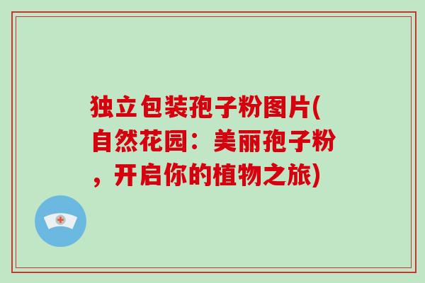 独立包装孢子粉图片(自然花园:美丽孢子粉,开启你的植物之旅)-第1张图片-破壁灵芝孢子粉研究指南 独立包装孢子粉图片(自然花园:美丽孢子粉,开启你的植物之旅)-第1张图片-破壁灵芝孢子粉研究指南