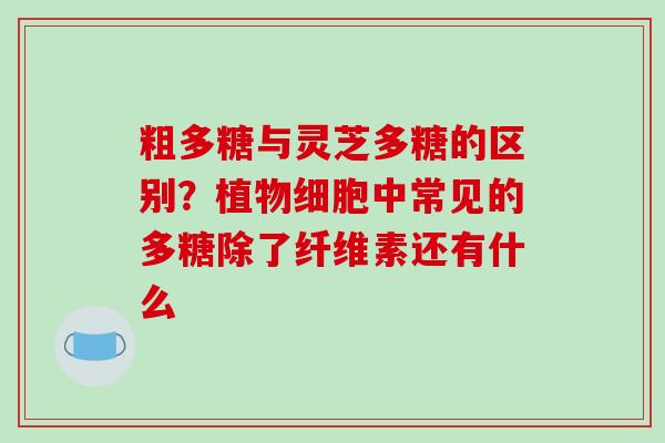 粗多糖与灵芝多糖的区别？植物细胞中常见的多糖除了纤维素还有什么-第1张图片-破壁灵芝孢子粉研究指南