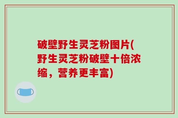 破壁野生灵芝粉图片(野生灵芝粉破壁十倍浓缩，营养更丰富)-第1张图片-破壁灵芝孢子粉研究指南