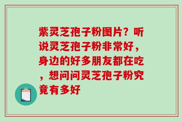 紫灵芝孢子粉图片?听说灵芝孢子粉非常好,身边的好多朋友都在吃,想问问灵芝孢子粉究竟有多好-第1张图片-破壁灵芝孢子粉研究指南 紫灵芝孢子粉图片?听说灵芝孢子粉非常好,身边的好多朋友都在吃,想问问灵芝孢子粉究竟有多好-第1张图片-破壁灵芝孢子粉研究指南