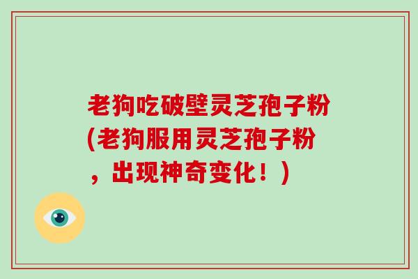 老狗吃破壁灵芝孢子粉(老狗服用灵芝孢子粉，出现神奇变化！)-第1张图片-破壁灵芝孢子粉研究指南