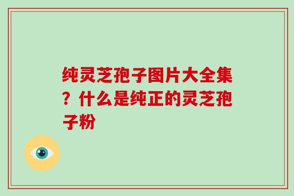 纯灵芝孢子图片大全集?什么是纯正的灵芝孢子粉-第1张图片-破壁灵芝孢子粉研究指南 纯灵芝孢子图片大全集?什么是纯正的灵芝孢子粉-第1张图片-破壁灵芝孢子粉研究指南