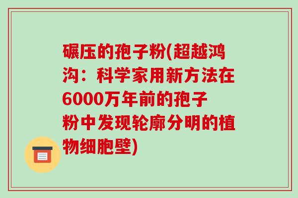 碾压的孢子粉(超越鸿沟:科学家用新方法在6000万年前的孢子粉中发现轮廓分明的植物细胞壁)-第1张图片-破壁灵芝孢子粉研究指南 碾压的孢子粉(超越鸿沟:科学家用新方法在6000万年前的孢子粉中发现轮廓分明的植物细胞壁)-第1张图片-破壁灵芝孢子粉研究指南