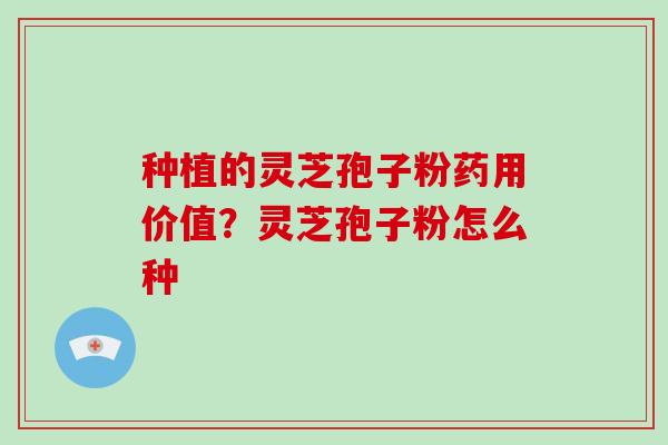 种植的灵芝孢子粉药用价值?灵芝孢子粉怎么种-第1张图片-破壁灵芝孢子粉研究指南 种植的灵芝孢子粉药用价值?灵芝孢子粉怎么种-第1张图片-破壁灵芝孢子粉研究指南