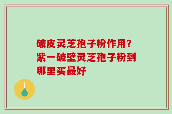 破皮灵芝孢子粉作用?紫一破壁灵芝孢子粉到哪里买最好-第1张图片-破壁灵芝孢子粉研究指南 破皮灵芝孢子粉作用?紫一破壁灵芝孢子粉到哪里买最好-第1张图片-破壁灵芝孢子粉研究指南