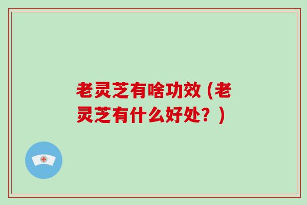 老灵芝有啥功效 (老灵芝有什么好处？)-第1张图片-破壁灵芝孢子粉研究指南