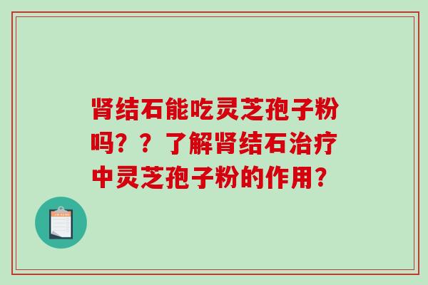 肾结石能吃灵芝孢子粉吗??了解肾结石治疗中灵芝孢子粉的作用?-第1张图片-破壁灵芝孢子粉研究指南 肾结石能吃灵芝孢子粉吗??了解肾结石治疗中灵芝孢子粉的作用?-第1张图片-破壁灵芝孢子粉研究指南