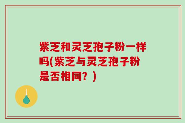 紫芝和灵芝孢子粉一样吗(紫芝与灵芝孢子粉是否相同？)-第1张图片-破壁灵芝孢子粉研究指南